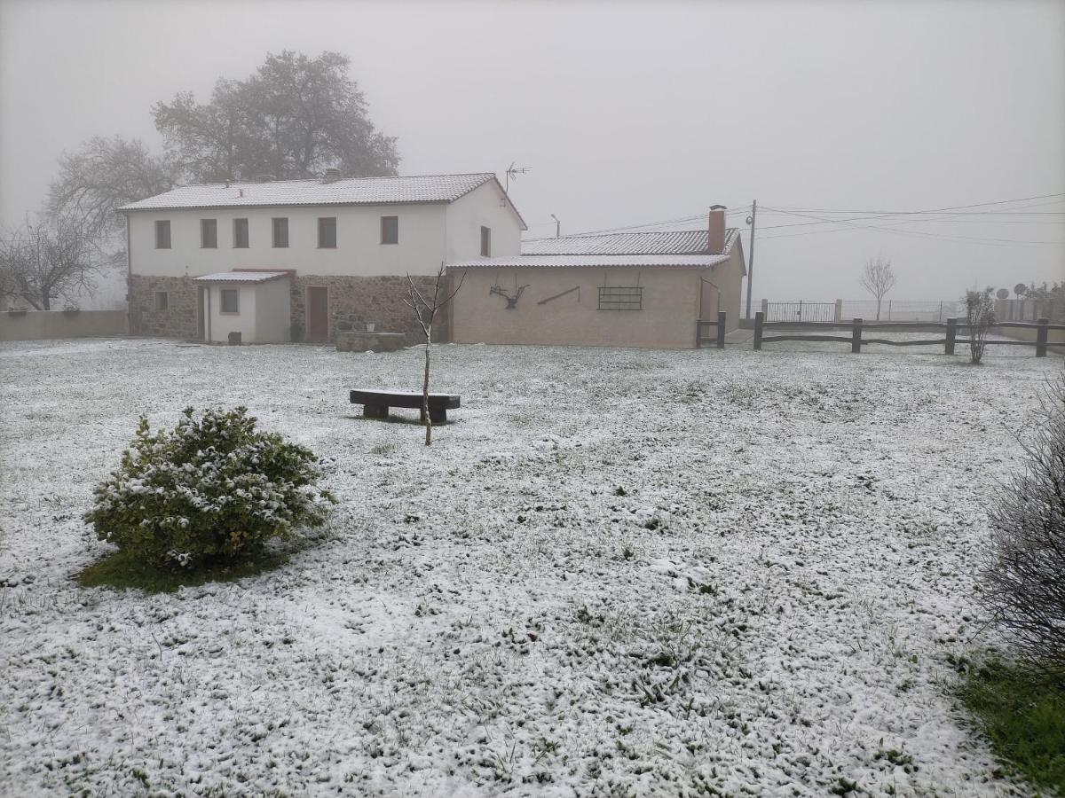 O Labrego De Boimorto Lägenhet Exteriör bild